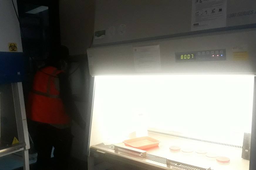 Instalasi Ruangan PCR Pemkot Pasuruan Ditarjetkan Siap Digunakan Akhir Tahun 2020