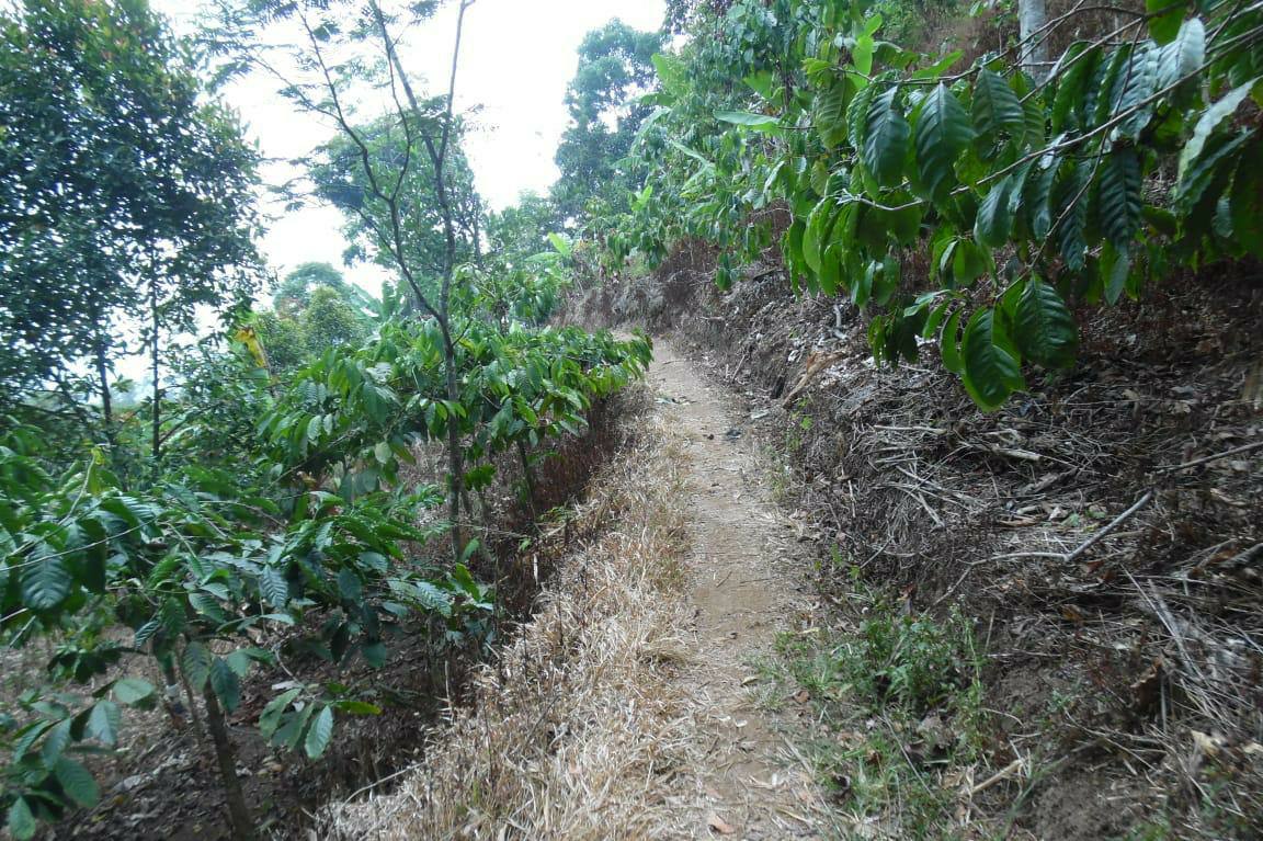 Berhadiah Jutaan Rupiah,Lomba Lari Pintu Langit Trail Run Digelar 15 Desember 2019 