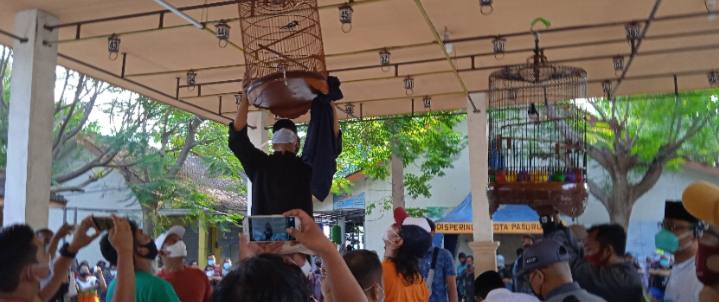 Gantang Yes, Mudik No, Kicaumania Ramaikan Piala Gus Walikota Pasuruan