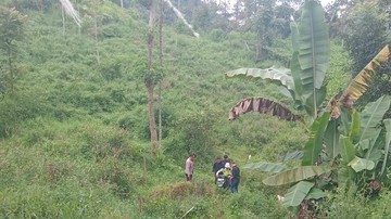 Nekat Ambil Jalan Tikus, Pemudik di Tasikmalaya Malah Terjun Bebas ke Jurang