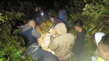 Misteri di Balik Hutan Garut: Penemuan Kerangka Manusia Saat Warga Berburu Sore