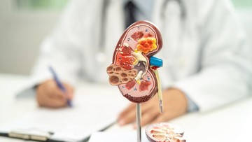 Keajaiban Medis: Pria India Didiagnosis Miliki Tiga Ginjal, Terungkap Saat Tangani Infeksi Saluran Kemih