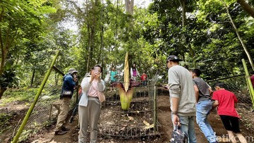Lonjakan Pengunjung Signifikan, Tahura Djuanda Jadi Magnet Libur Lebaran Pasca Penutupan Kebun Binatang