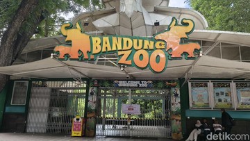 Bandung Zoo (Foto: Rifat Alhamidi/detikJabar).