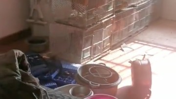 Kronologi Unit Sewa di China Berubah Drastis Menjadi 'Kandang' Setelah Dua Tahun Tanpa Inspeksi