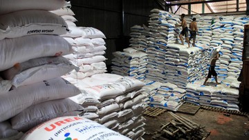 Gejolak Timur Tengah Buka Peluang Emas: Indonesia Jadi Pemasok Urea Strategis bagi India dan AS